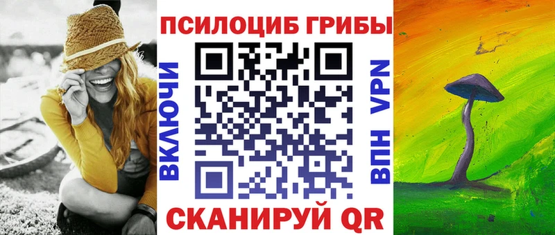 Псилоцибиновые грибы Psilocybe  Сортавала 